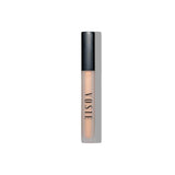 CONCEALER